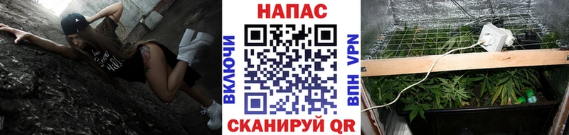 закладки  Берёзовский  МАРИХУАНА THC 21% 